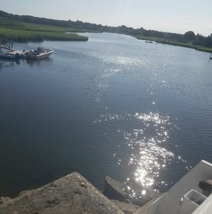 Meet your Posher, Shelly